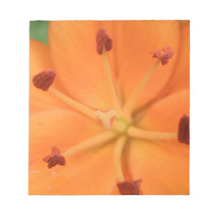 Bloc-notes floral Lily orange
