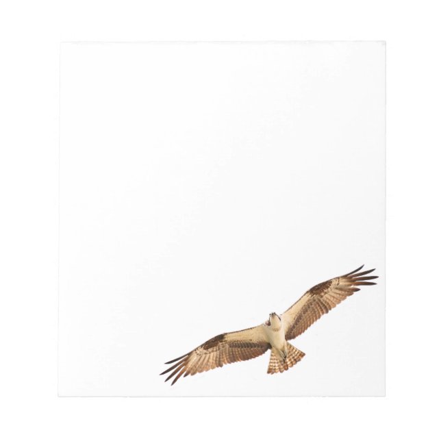 Bloc-notes Flying Hawk (Devant)