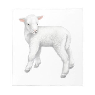 Bloc-notes Fuzzy Little Lamb