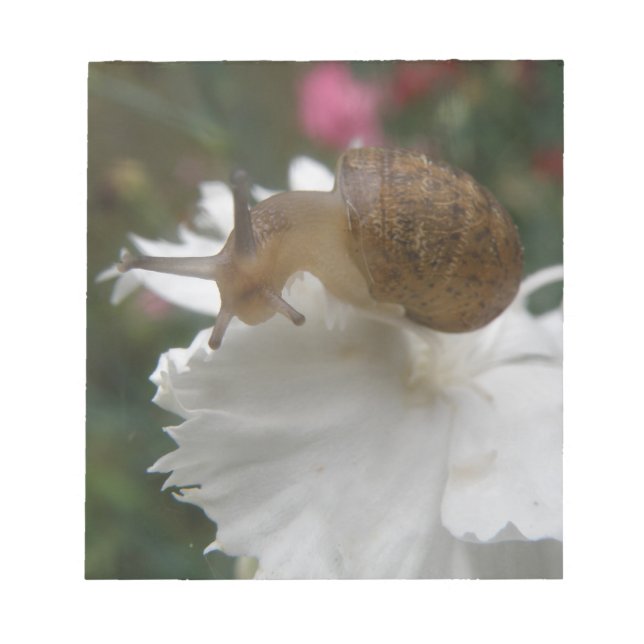 Bloc-notes Garden Snail et Carnation blanche (Devant)