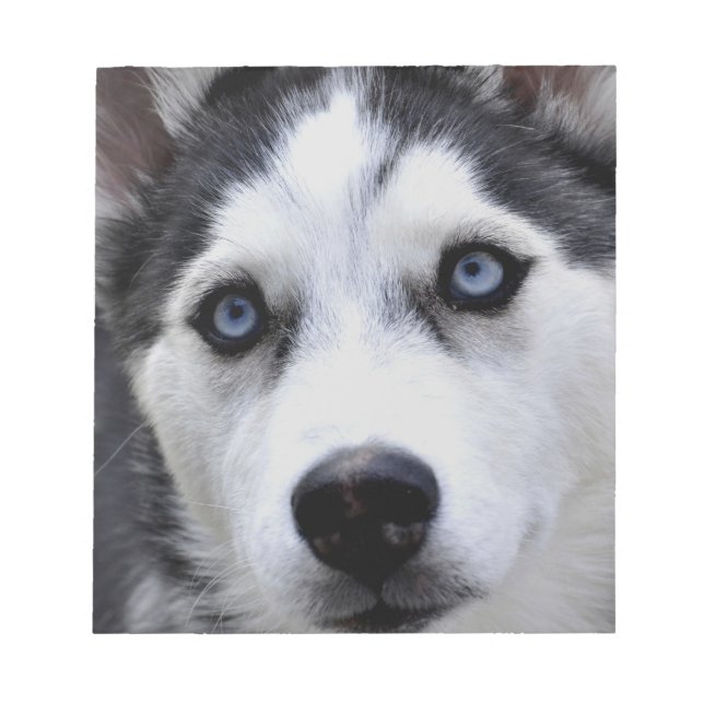 Bloc-notes Husky Puppy (Devant)