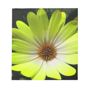 Bloc-notes jaune Fluorescent Faisceau