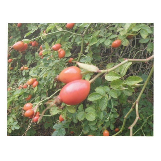Bloc-notes Juicy Red Rose Hips (Devant)