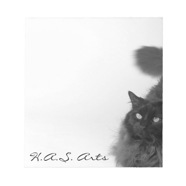 Bloc-notes Kitty haiku (Devant)