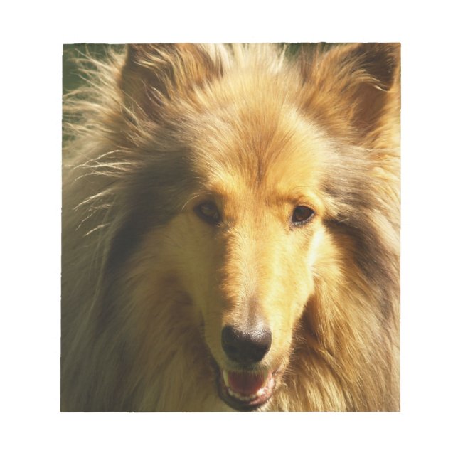 Bloc-notes Lassie Collie (Devant)