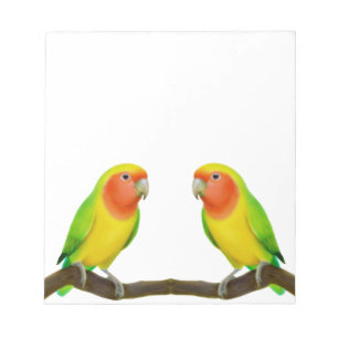 Bloc-notes Lovebird Lovebird