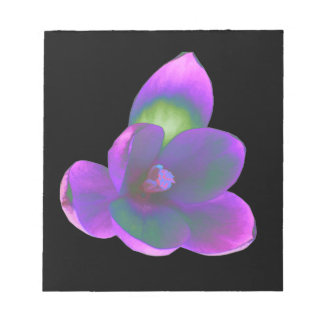 Bloc-notes Mystic Beauque Crocus