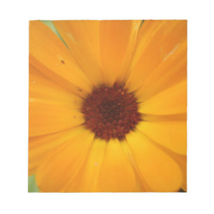 Bloc-notes orange Pluie