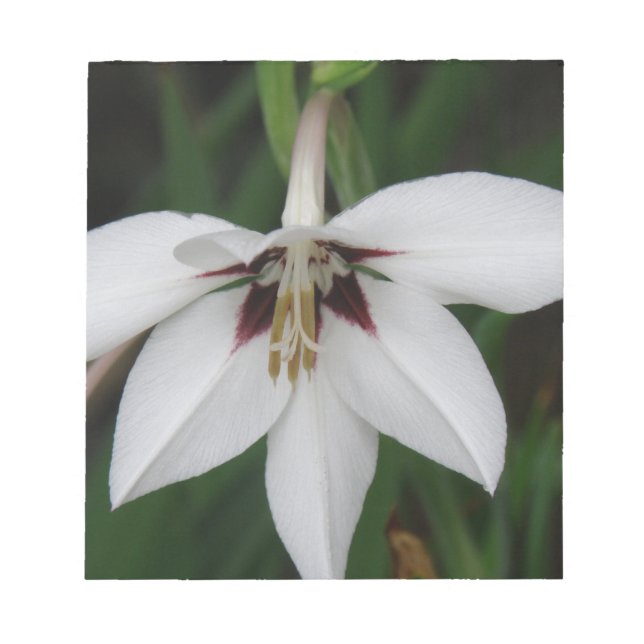 Bloc-notes orchidées (Devant)