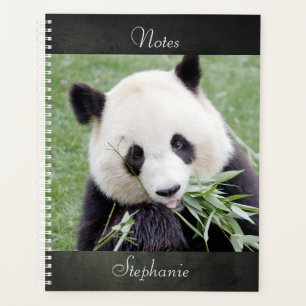 Bloc-notes Panda géant photo, animaux 03. carnet