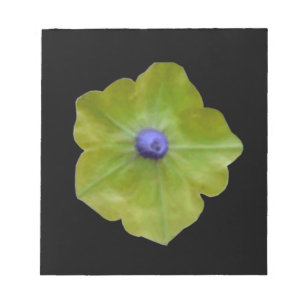 Bloc-notes Petunia vert et bleu