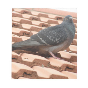 Bloc-notes Pigeon sur le toit