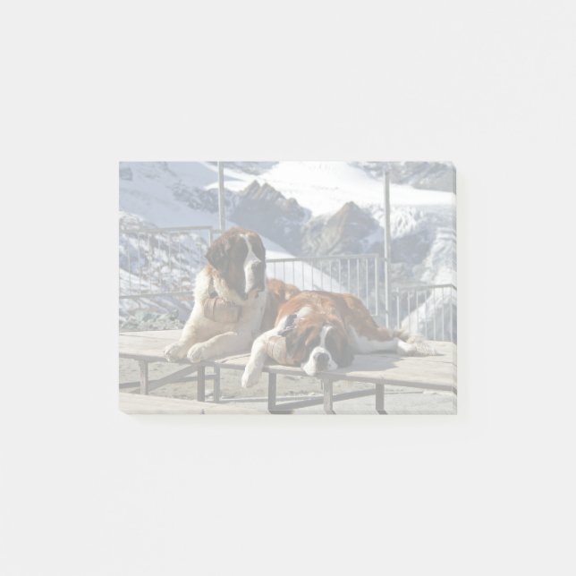 Bloc-notes post-it 2 St-Bernard posant (Devant)