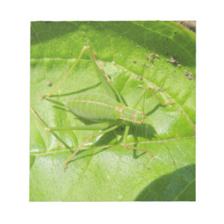 Bloc-notes pour camouflage vert de cricket