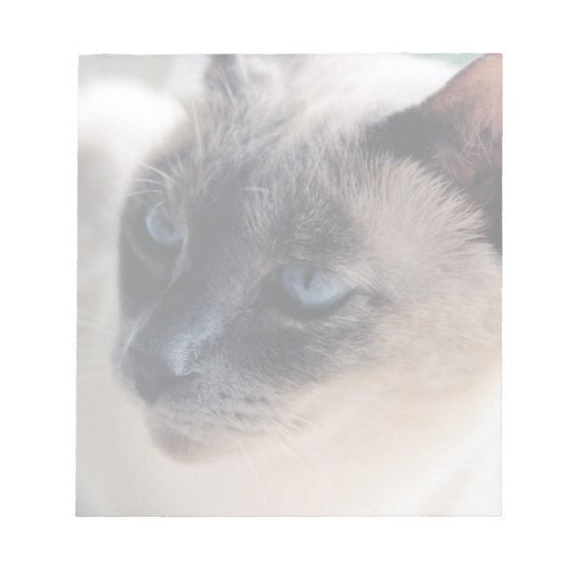 Bloc-notes pour chats de Siamese (Devant)