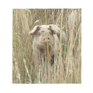 Bloc-notes pour cochon mignon