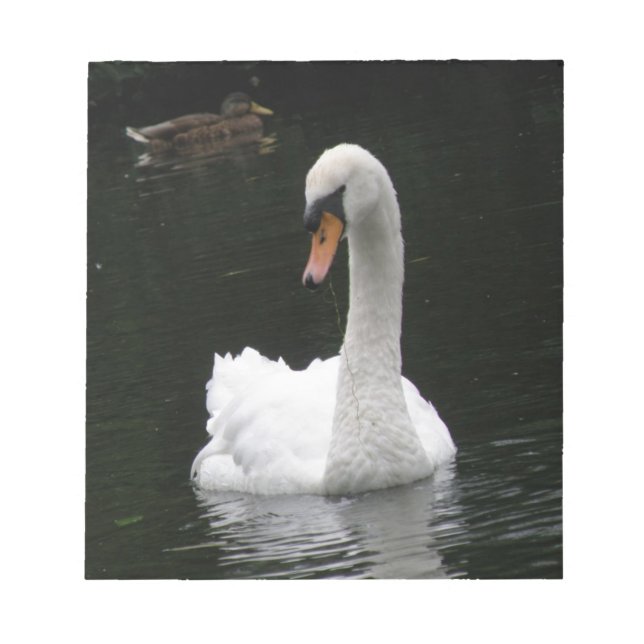 Bloc-notes pour cygne blanc (Devant)