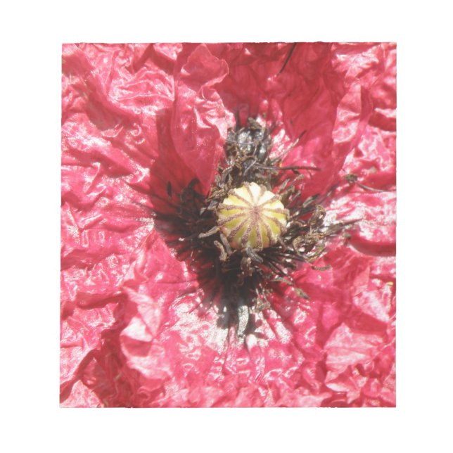 Bloc-notes pour Macro à fleur rouge (Devant)