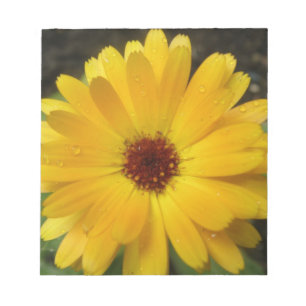 Bloc-notes pour Macro Marigold jaune