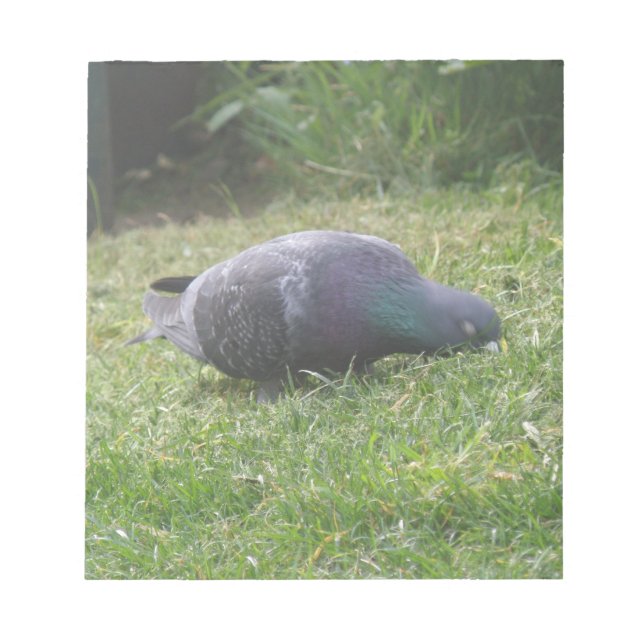 Bloc-notes pour pigeon dormant (Devant)