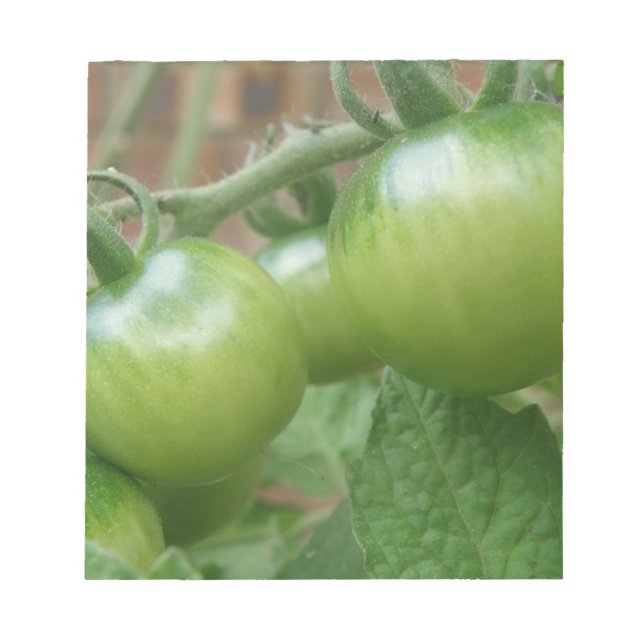 Bloc-notes pour tomates vertes (Devant)