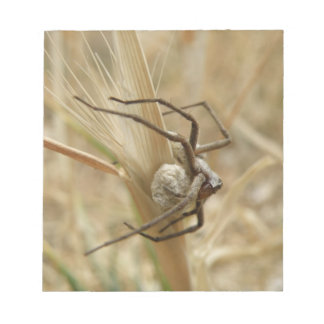 Bloc-notes Spider et Oeuf Sac