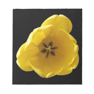 Bloc-notes Tulipe jaune