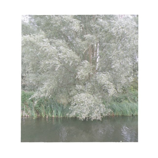 Bloc-notes White Tree and River Landcape (Devant)