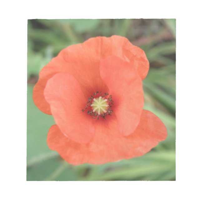 Bloc-notes Wild Poppy Flower (Devant)