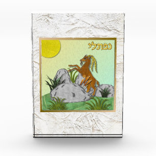 Bloc Photo 12 Tribus d'Israël Naphtali Art bloc acrylique