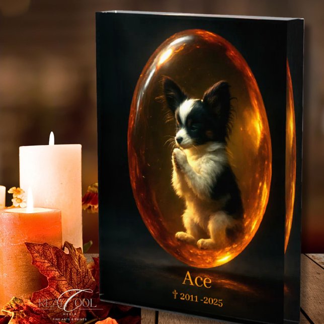 Bloc photo à la mémoire du chien - Papillon  (Créateur téléchargé)