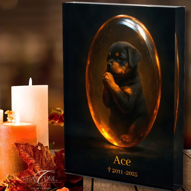 Bloc photo à la mémoire du chien - Rottweiler  (Créateur téléchargé)