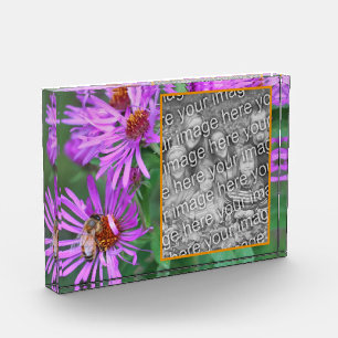 Bloc Photo Abeille De Miel Sur Fleur D'Aster Rose Ajouter Vot