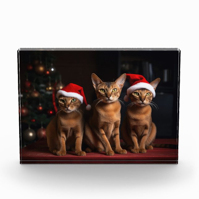Bloc Photo Abyssinian près de la cheminée Noël (Devant)
