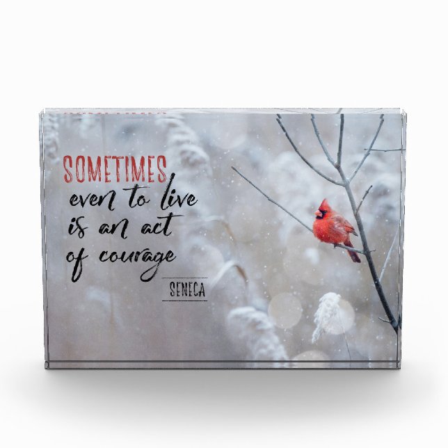 Bloc Photo Acte de courage (Devant)