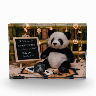 Bloc Photo Adorable Panda Plushie Faire-part de grossesse