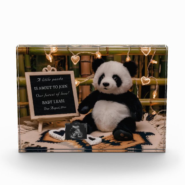 Bloc Photo Adorable Panda Plushie Faire-part de grossesse (Devant)