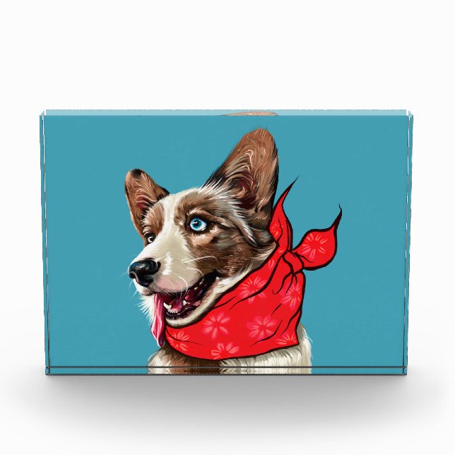 Bloc Photo Adorable Pembroke Welsh Corgi (Devant)