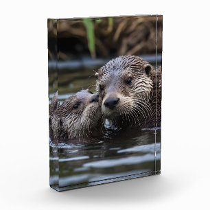 Bloc Photo **"Adrift in Love : Mummy and Baby Otter"**