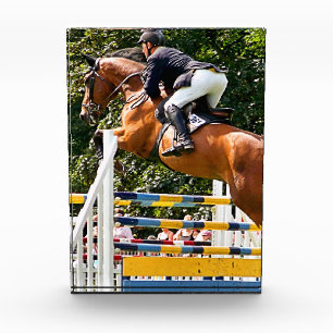 BLOC PHOTO AFFICHER LE SAUVETAGE