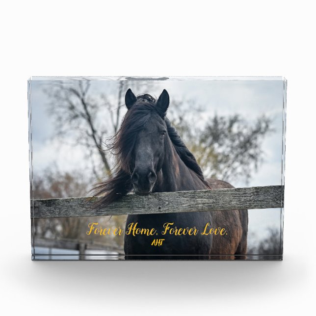 Bloc photo AHT (Devant)