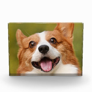 Bloc Photo Ajouter photo de chien personnalisé Customisé
