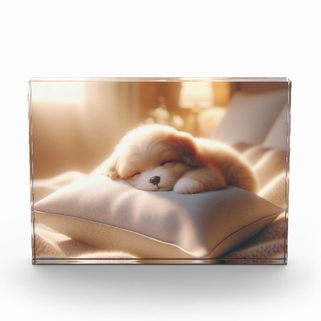 Bloc photo Ajouter votre photo (Devant)