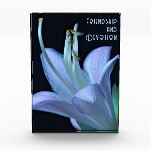 Bloc Photo Amitié personnalisée Purple Flower Gros plan