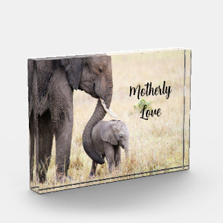 Bloc Photo Amour maternel bébé éléphant personnalisé
