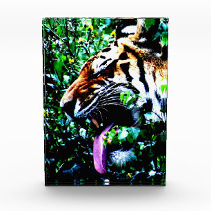 Bloc Photo Amur Tiger pbm