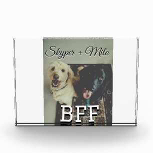 Bloc Photo Animaux de compagnie amis besties ajouter nom anim