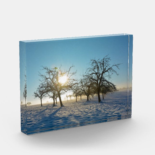 Bloc Photo Arbres d'hiver   -     - (Gauche)