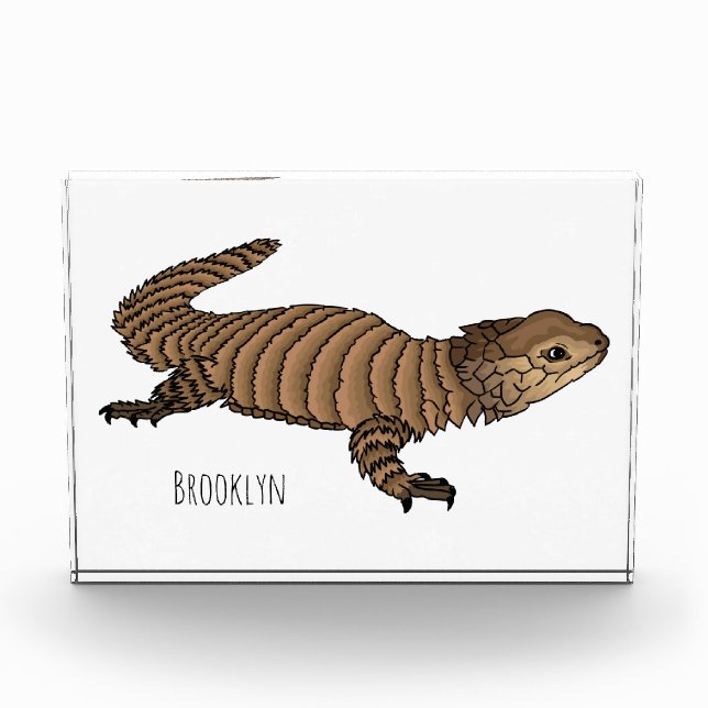 Bloc Photo Armadillo girdled lizard (Devant)