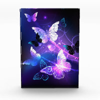 Arrière - plan avec papillons de nuit